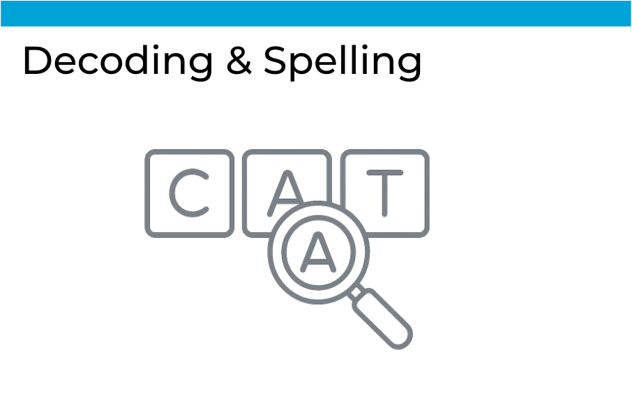 M3 - Decoding and Spelling