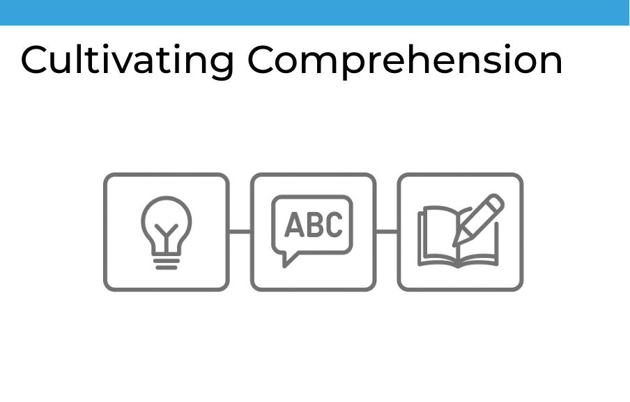 Cultivating Comprehension Bundle